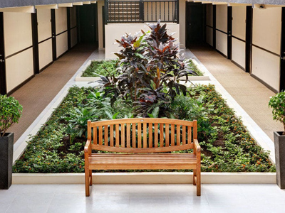 Picture of the interior of the Costa Rica Medical Center Inn, San Jose, Costa Rica.  The picture shows a garden along the corridor between the rooms.