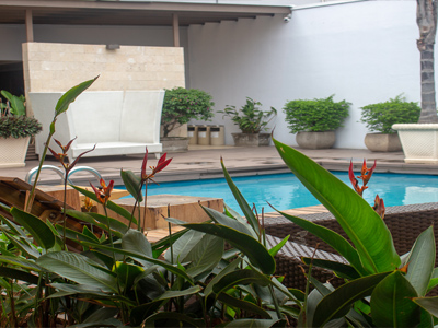 3-	Picture of the pool at the Costa Rica Medical Center Inn, San Jose, Costa Rica.  Beautiful plants are in the foreground.